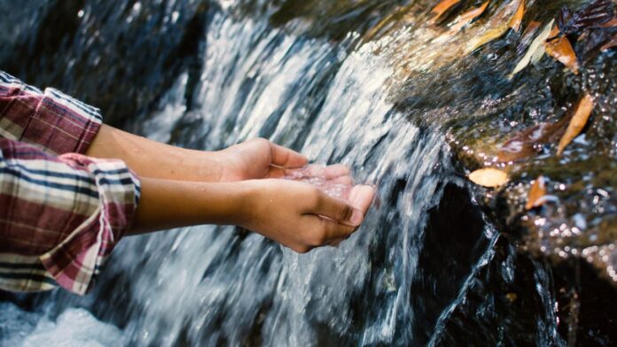 Comment purifier l'eau en randonnée ?